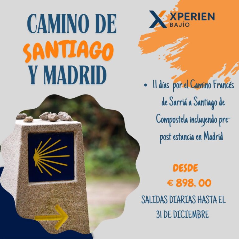 CAMINO SANTIAGO