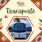 TRANSPORTACIÓN EN MÉXICO
