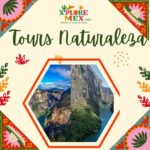 TOURS NATURALEZA EN MÉXICO