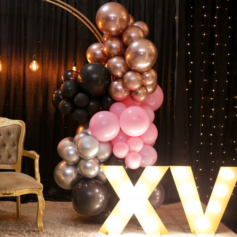 FIESTA XVS