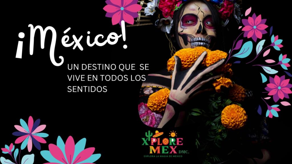 XPLORE MEX DMC