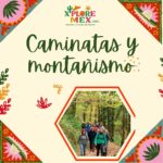 ACTIVIDADES EN MÉXICO